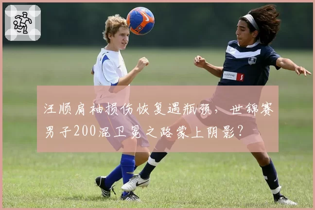 汪顺肩袖损伤恢复遇瓶颈，世锦赛男子200混卫冕之路蒙上阴影？